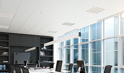 Commercial Pest Control