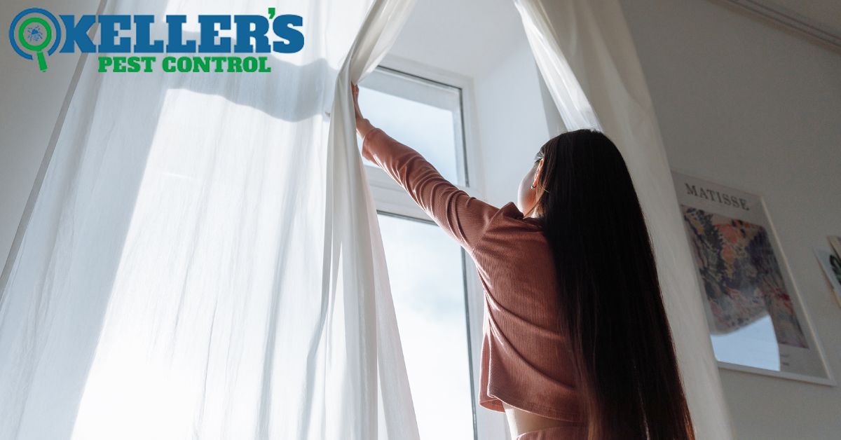 Are You Accidentally Attracting Bugs? Everyday Habits That Invite Pests ...